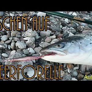 Meerforellen fischen an der Ostsee (Trailer)