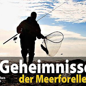 DE vers. Geheimnisse der Meerforellen 3 Spinnfischen/Frühjahr