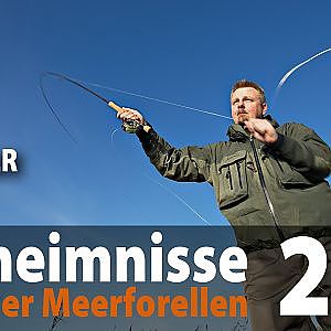 DE vers. Geheimnisse der Meerforellen 2 Fliegenfischen