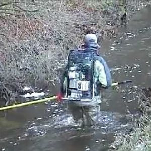 Elektrofischen auf Meerforelle in Norddeutschland