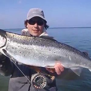 Fliegenfischen auf Meerforelle 2014 - Fly Fishing for Seatrout 2014