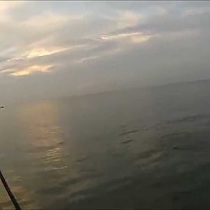 Meerforellen im Frühjahr 2014 Livebisse / Mit der Spinnrute an der Ostseeküste unterwegs