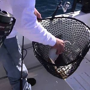 Flounder Fishing Offshore