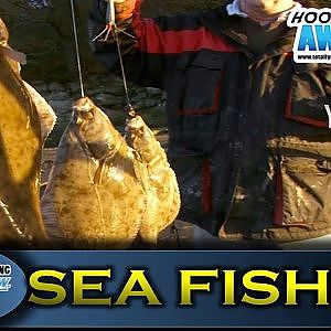 THE BEST FLOUNDER FISHING in the WORLD! - TAFishing Show