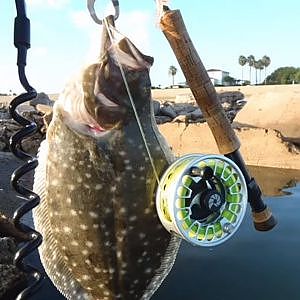 Fly fishing for flounder and fluke: how to, Techniques and gear