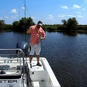 Louisiana Fishing for Bass, Reds, Trout and Flounder