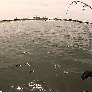 Big Flounder caught Kayak Fishing