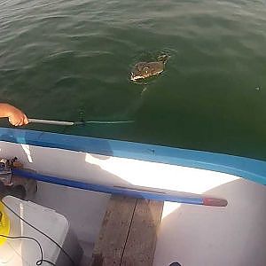 Flounder Fishing New Jersey