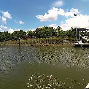 GoPro Video Flounder Fishing Charleston SC