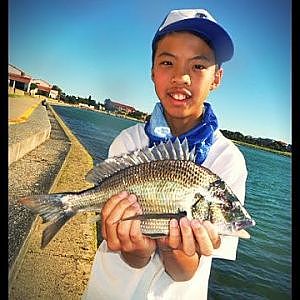 West lakes Fishing | Bream + Flounder