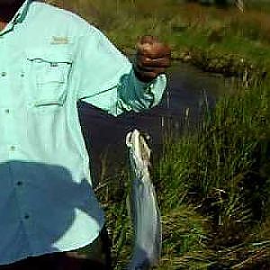 Laborn Fishing Show - Flounder in Destin