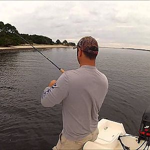 Flounder fishing with Gulp swimming mullet (cumberland island in southeast ga)