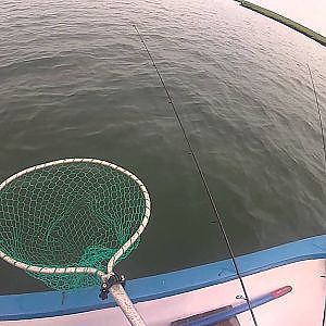 Flounder Fishing Nj