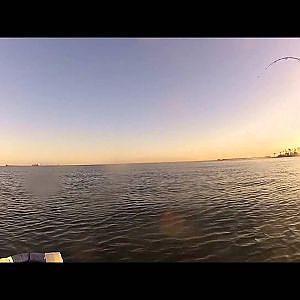 Galveston Flounder Fishing