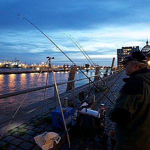 Angeln auf Plattfische: fängige Köder für den Hamburger Hafen