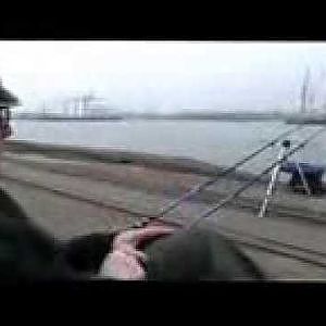 Angeln auf Plattfisch Grundangeln auf Butt im Hamburger Hafen