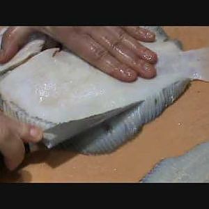 Steinbutt filetieren - How to filet turbot