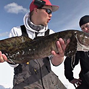 Burbot Semen Sequence - iTrout (Part 1 of 3) - Uncut Angling - January 1, 2013