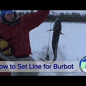 How to Set Line for Burbot