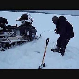 Icefishing Burbot, Lake Trout, Walleye, Whitefish