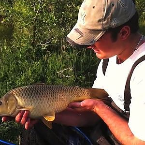 Fishing The Method Feeder For Carp & Tench - Part Three