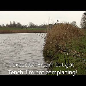 Fishing Catching Tench in autumn with sweetcorn on a feeder rig