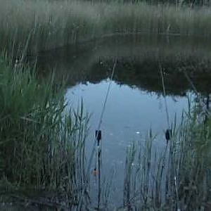 Tench fishing, my first overnighter of the year.(vidoe 29)