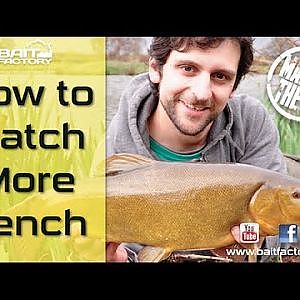 Learn how to mix groundbait and see how to catch more tench this summer