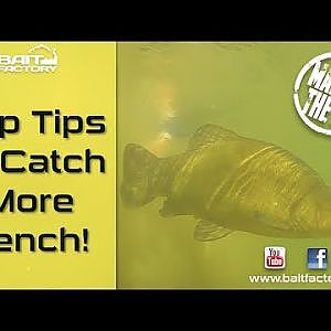 Tench fishing tips! Learn how to catch more fish!