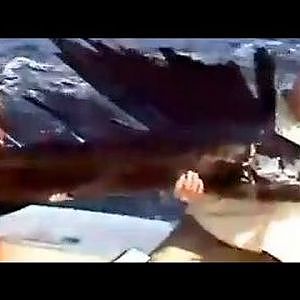 Huge Sailfish Catch Panama