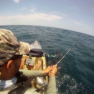 Sailfish From A Kayak At The Extreme Kayak Fishing Tournament!!