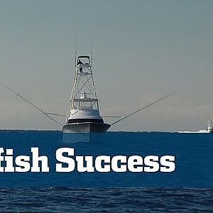 Sailfish; How To Catch Sailfish
