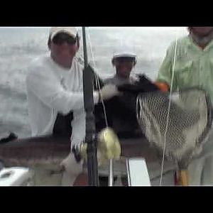 Frank Ski Boys Franklin Catches The Big SailFish