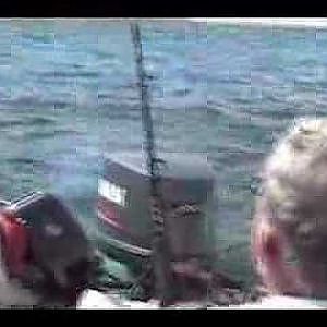 90 pound sailfish using (trolling) sistem