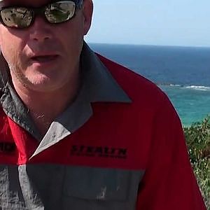Sailfish attacks cameraman off Mozambique.