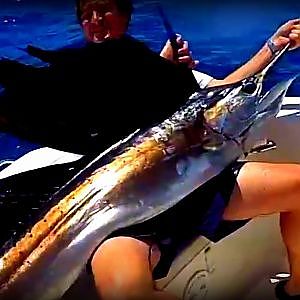 Large Sailfish on Light Tackle Fishing the Atlantic in South Florida Using Live Bait Goggle Eye