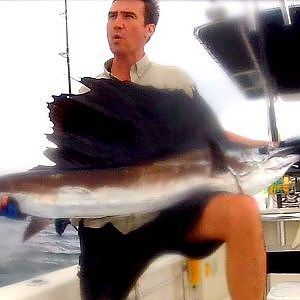 Pursuit & Capture The South Florida Sailfish