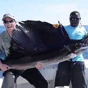 KENYA - BIG GAME FISHING - GT - JIGGING - SHARK