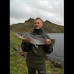 Giant 10p Iceland Char