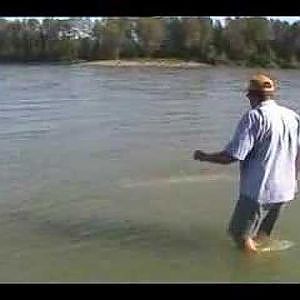 9ft 400pounds of Fraser River Sturgeon, Caught and Released