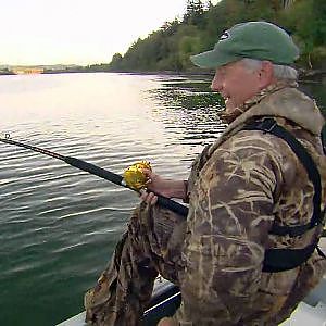 The White Sturgeon: Biggest Freshwater Fish in North America