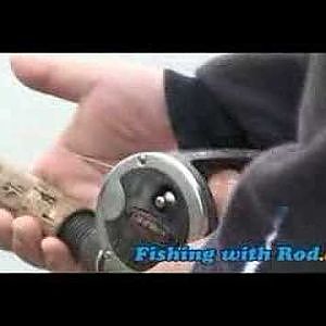 Fishing with Rod: Bye bye sturgeon