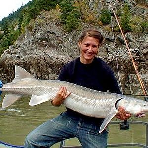 Fishing with Rod:  She does it easily (Fraser River sturgeon)