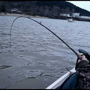 Sturgeon Fishing on the Columbia Rvr Kid vs Sturgeon