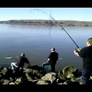 2009 Sturgeon Fishing With BillBassPro Xiong