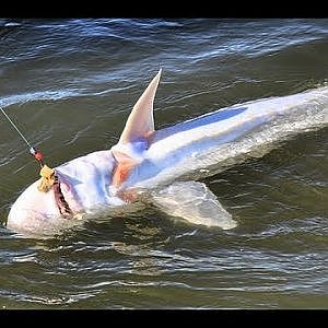 STURGEON FISHING