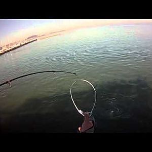 OYSTER POINT PIER STURGEON FISHING