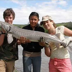 North Saskatchewan River Fishing Sturgeon