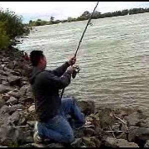 rio vista sturgeon fishing 1 OF 1