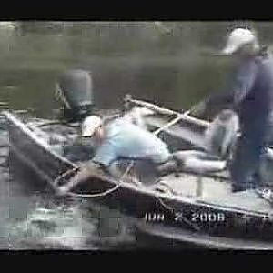 Lake sturgeon caught